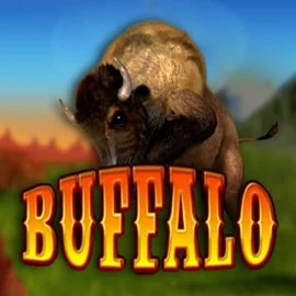 Buffalo Bingo casino game by MGA Games – featured logo at Vegas Now Casino